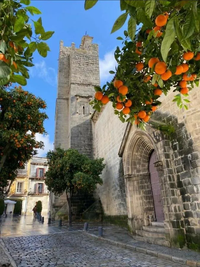 Apartamento Sherryflat San Agustín Jerez de la Frontera España